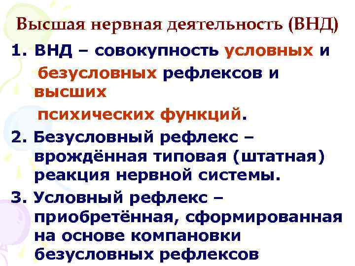 Высшая нервная деятельность (ВНД) 1. ВНД – совокупность условных и безусловных рефлексов и высших