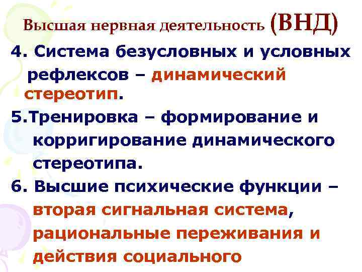 Высшая нервная деятельность (ВНД) 4. Система безусловных и условных рефлексов – динамический стереотип. 5.