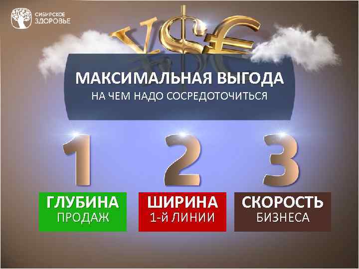 МАКСИМАЛЬНАЯ ВЫГОДА НА ЧЕМ НАДО СОСРЕДОТОЧИТЬСЯ ГЛУБИНА ПРОДАЖ ШИРИНА 1 -й ЛИНИИ СКОРОСТЬ БИЗНЕСА