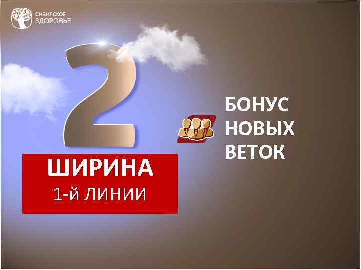 ШИРИНА 1 -й ЛИНИИ БОНУС НОВЫХ ВЕТОК 