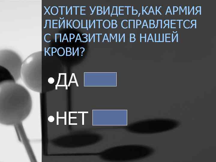 ХОТИТЕ УВИДЕТЬ, КАК АРМИЯ ЛЕЙКОЦИТОВ СПРАВЛЯЕТСЯ С ПАРАЗИТАМИ В НАШЕЙ КРОВИ? • ДА •