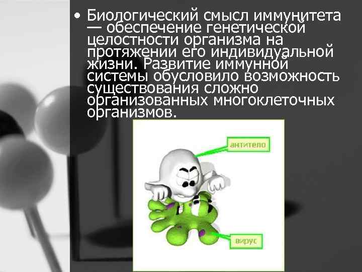  • Биологический смысл иммунитета — обеспечение генетической целостности организма на протяжении его индивидуальной