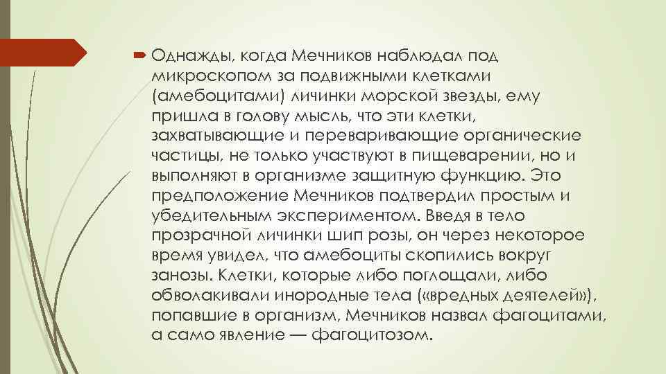  Однажды, когда Мечников наблюдал под микроскопом за подвижными клетками (амебоцитами) личинки морской звезды,