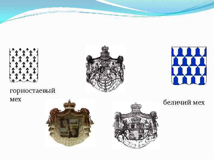 горностаевый мех беличий мех 