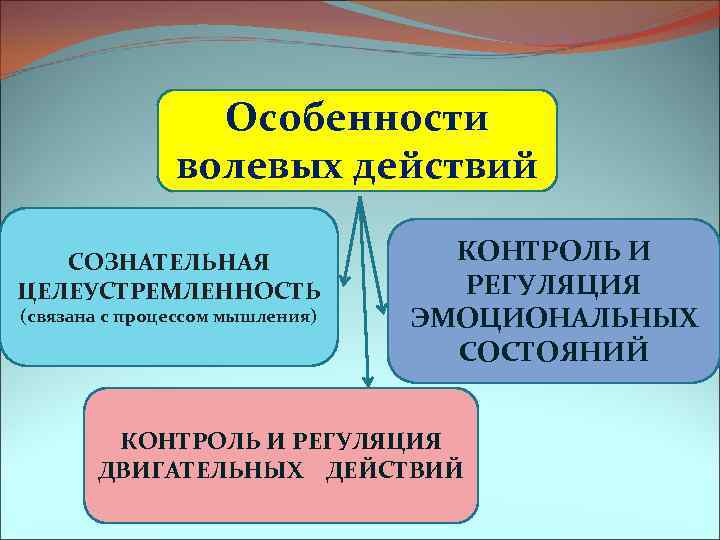 Эмоционально волевые особенности