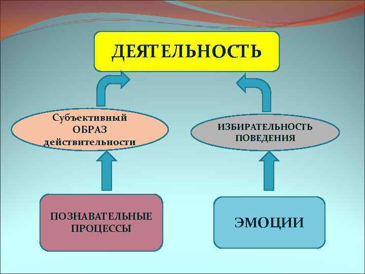 ДЕЯТЕЛЬНОСТЬ Субъективный ОБРАЗ действительности ПОЗНАВАТЕЛЬНЫЕ ПРОЦЕССЫ ИЗБИРАТЕЛЬНОСТЬ ПОВЕДЕНИЯ ЭМОЦИИ 