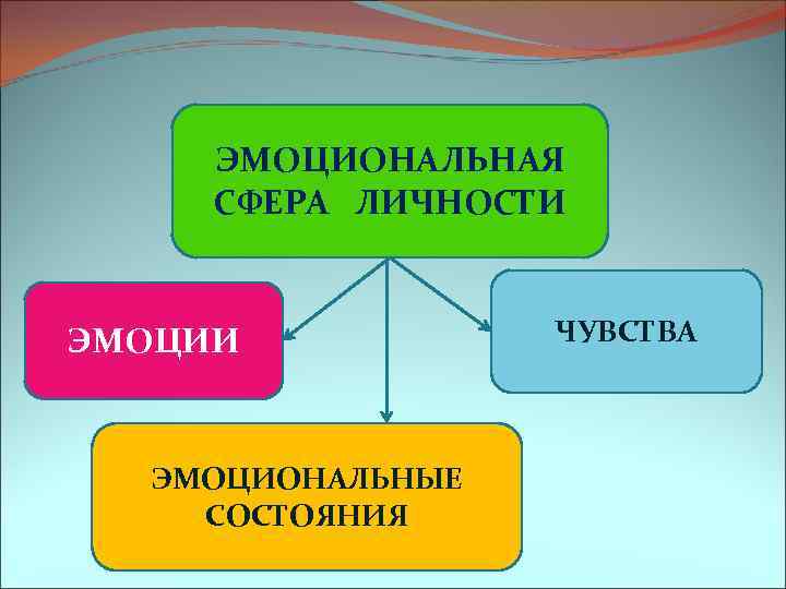 ЭМОЦИОНАЛЬНАЯ СФЕРА ЛИЧНОСТИ ЭМОЦИОНАЛЬНЫЕ СОСТОЯНИЯ ЧУВСТВА 