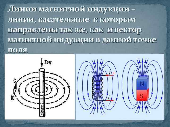 Линии магнитной индукции – линии, касательные к которым направлены так же, как и вектор