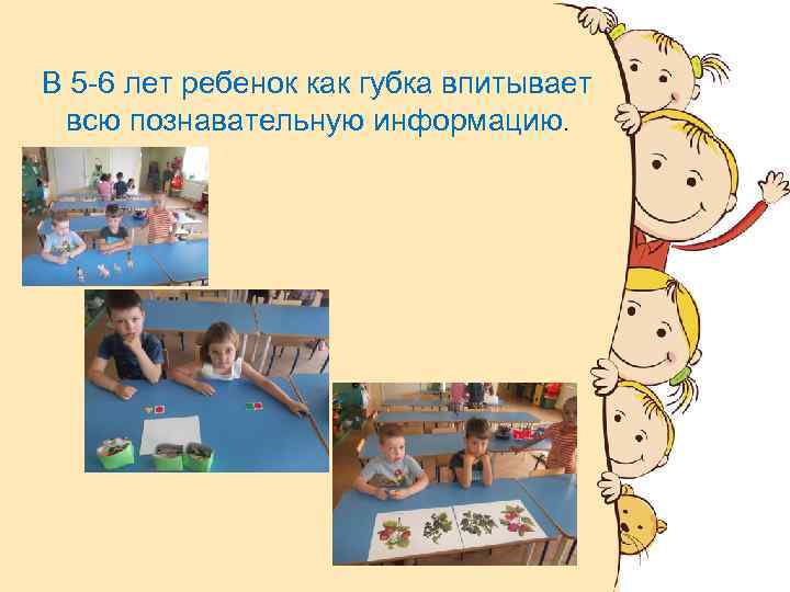 В 5 -6 лет ребенок как губка впитывает всю познавательную информацию. 