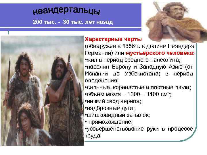 200 тыс. - 30 тыс. лет назад Характерные черты (обнаружен в 1856 г. в