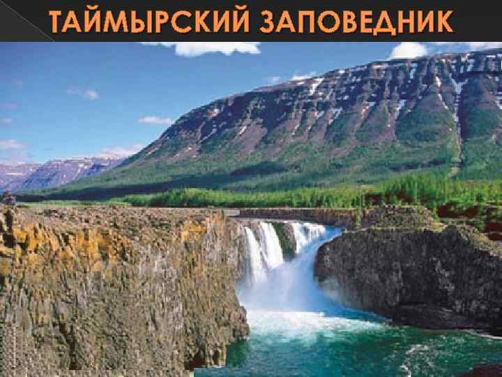 ТАЙМЫРСКИЙ ЗАПОВЕДНИК 