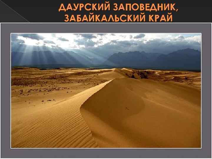 ДАУРСКИЙ ЗАПОВЕДНИК, ЗАБАЙКАЛЬСКИЙ КРАЙ 