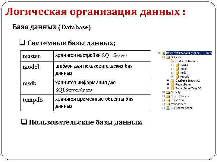 Сохранился в списке. Системные базы данных SQL Server Master model. Логическая архитектура базы данных MS SQL Server. Системные базы данных SQL Server и их Назначение. Логическая модель SQL Server.