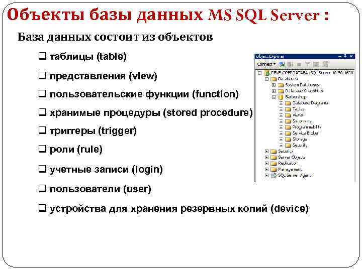 Объекты базы данных MS SQL Server : База данных состоит из объектов q таблицы