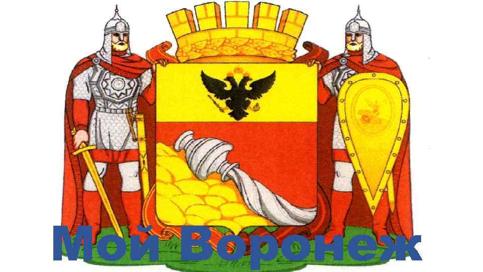 Мой Воронеж 