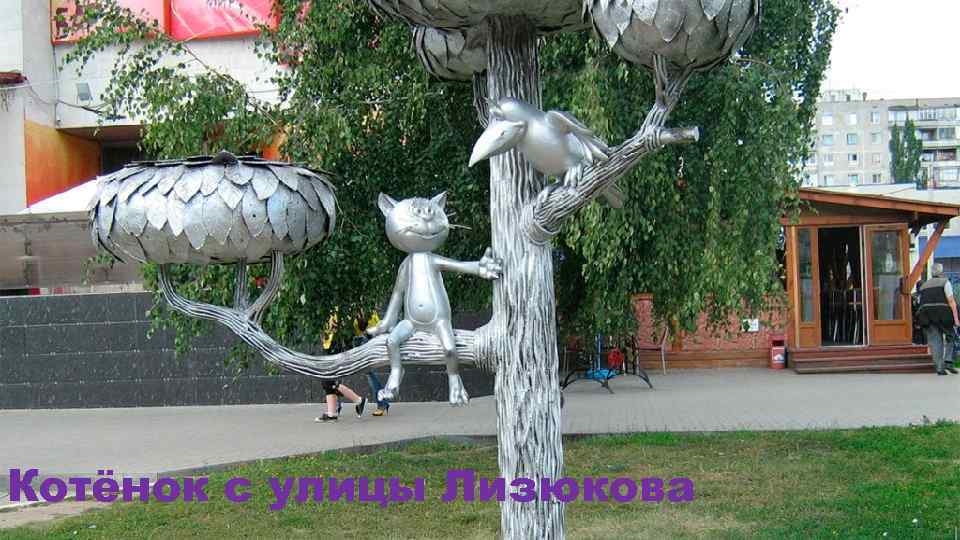 Котёнок с улицы Лизюкова 