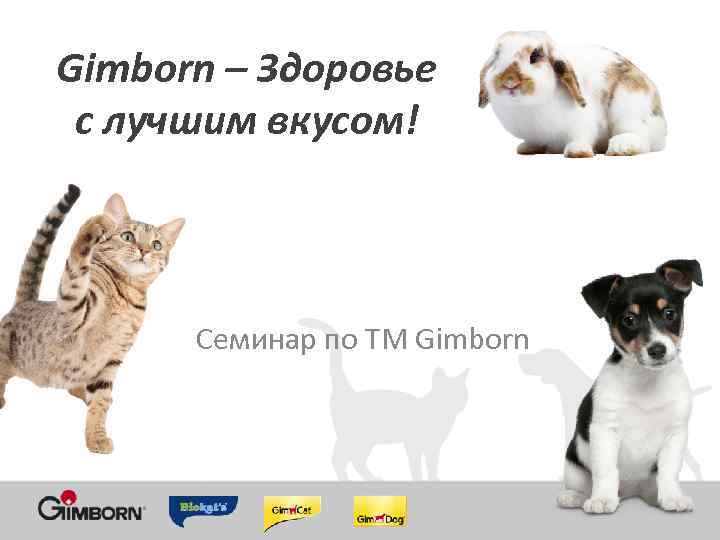 Gimborn – Здоровье с лучшим вкусом! Семинар по ТМ Gimborn 