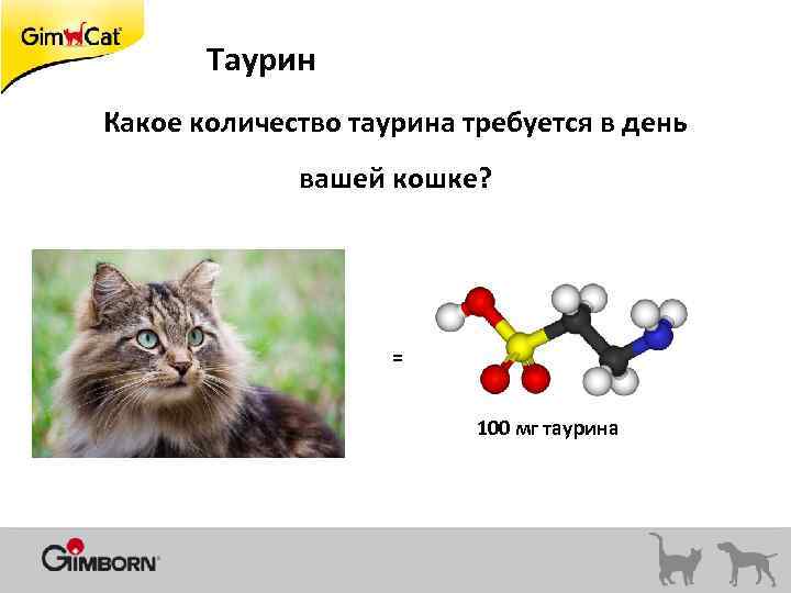 Таурин Какое количество таурина требуется в день вашей кошке? = 100 мг таурина 