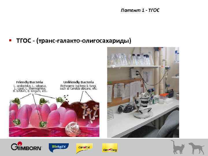 Патент 1 - ТГОС § ТГОС - (транс-галакто-олигосахариды) 