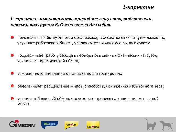L-карнитин - аминокислота, природное вещество, родственное витаминам группы В. Очень важен для собак. повышает