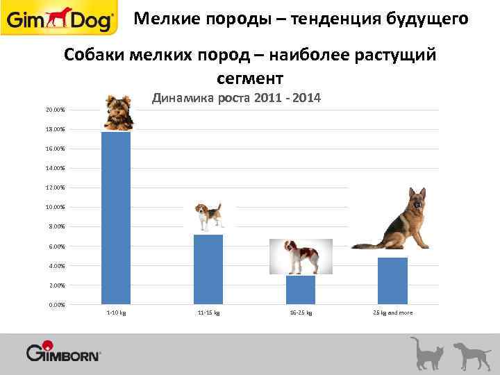 Мелкие породы – тенденция будущего Собаки мелких пород – наиболее растущий сегмент Динамика роста