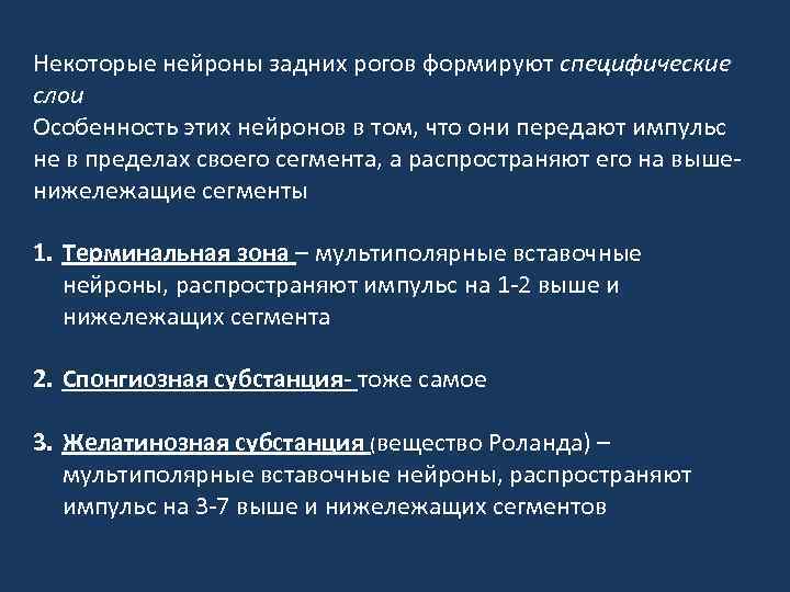 Некоторые нейроны задних рогов формируют специфические слои Особенность этих нейронов в том, что они