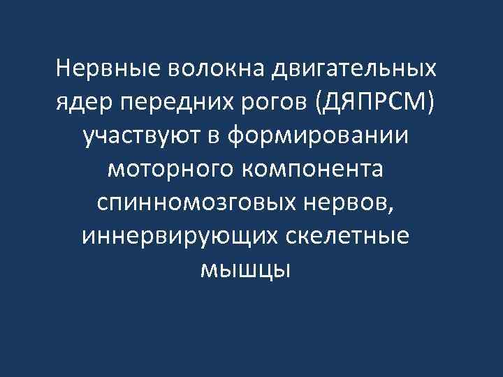 Нервные волокна двигательных ядер передних рогов (ДЯПРСМ) участвуют в формировании моторного компонента спинномозговых нервов,