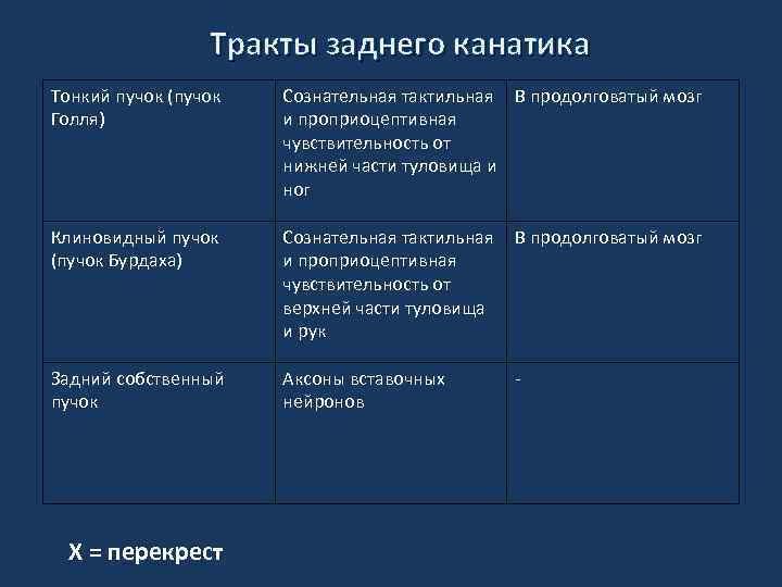 Тракты заднего канатика Тонкий пучок (пучок Голля) Сознательная тактильная В продолговатый мозг и проприоцептивная