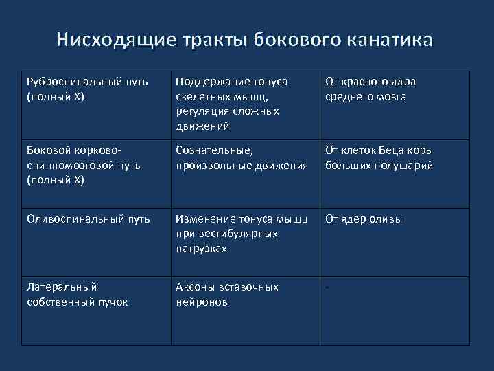 Нисходящие тракты бокового канатика Руброспинальный путь (полный X) Поддержание тонуса скелетных мышц, регуляция сложных