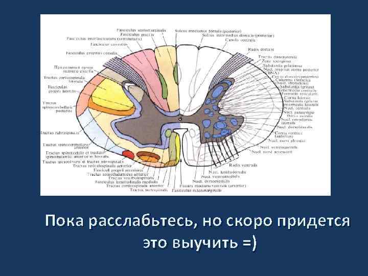 Пока расслабьтесь, но скоро придется это выучить =) 