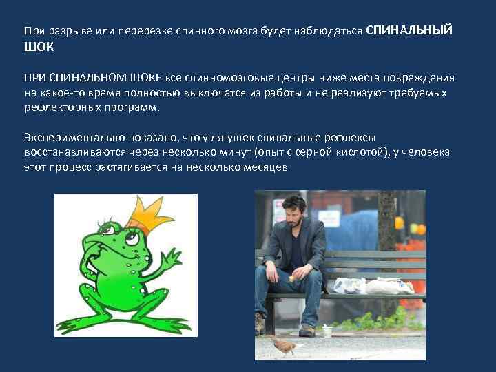 При разрыве или перерезке спинного мозга будет наблюдаться СПИНАЛЬНЫЙ ШОК ПРИ СПИНАЛЬНОМ ШОКЕ все