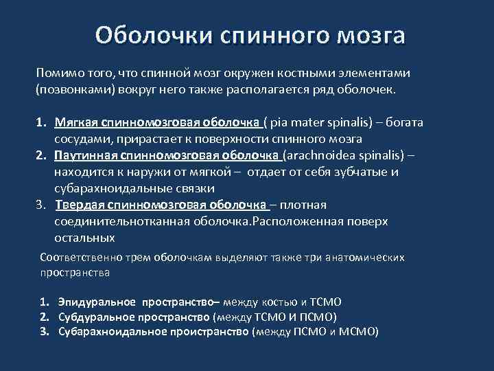Оболочки спинного мозга Помимо того, что спинной мозг окружен костными элементами (позвонками) вокруг него