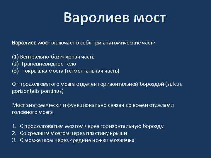 Варолиев мост включает в себя три анатомические части (1) Вентрально-базилярная часть (2) Трапециевидное тело