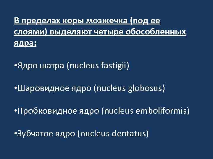 В пределах коры мозжечка (под ее слоями) выделяют четыре обособленных ядра: • Ядро шатра