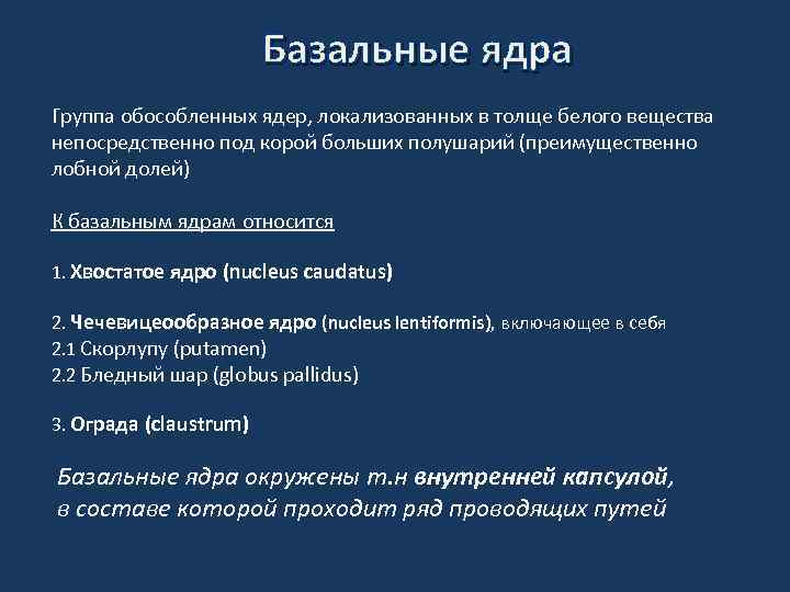 Базальные ядра Группа обособленных ядер, локализованных в толще белого вещества непосредственно под корой больших
