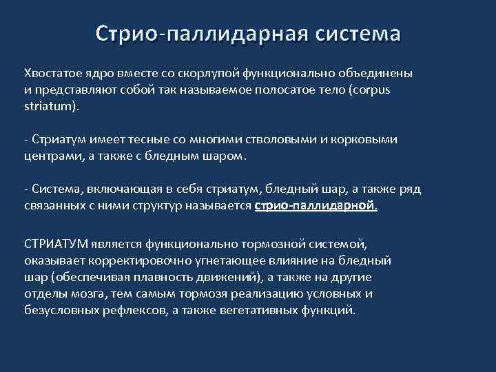 Стрио-паллидарная система Хвостатое ядро вместе со скорлупой функционально объединены и представляют собой так называемое