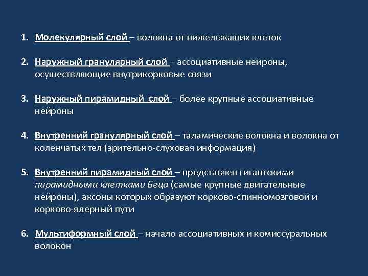 1. Молекулярный слой – волокна от нижележащих клеток 2. Наружный гранулярный слой – ассоциативные