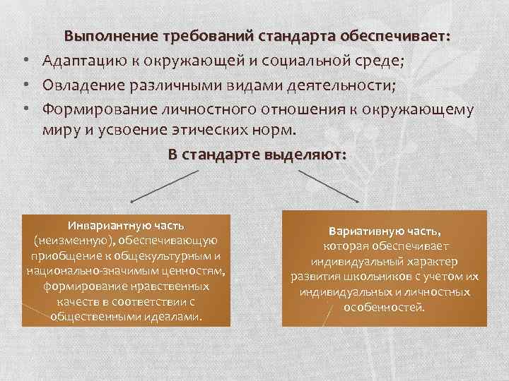 Выполнение требований стандарта обеспечивает: • Адаптацию к окружающей и социальной среде; • Овладение различными