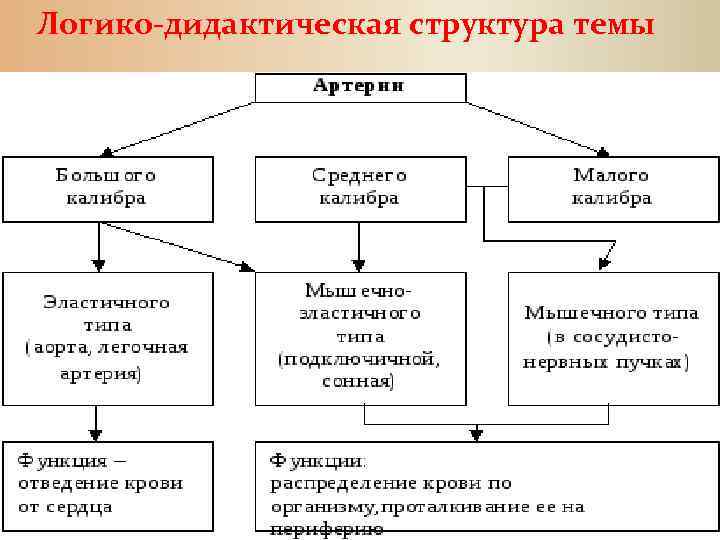 Логико-дидактическая структура темы 