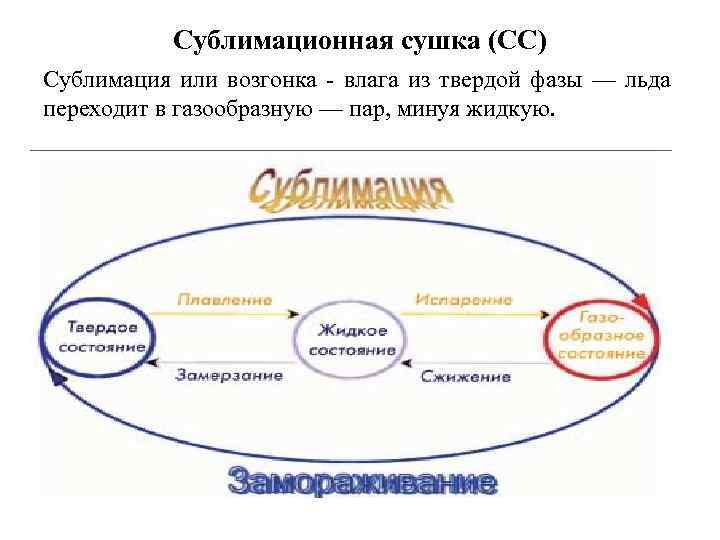 Сублимационная сушка (СС) Сублимация или возгонка - влага из твердой фазы — льда переходит