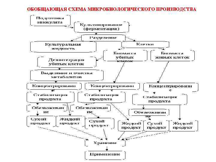 Технологическая схема биотехнологического производства