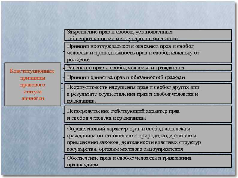 Конституционные принципы правового статуса личности Закрепление прав и свобод, установленных общепризнанными международными актами Принцип