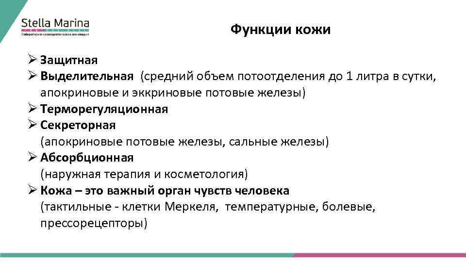Функции кожи Ø Защитная Ø Выделительная (средний объем потоотделения до 1 литра в сутки,