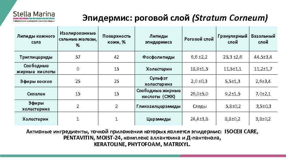 Эпидермис: роговой слой (Stratum Corneum) Изолированные Липиды кожного Поверхность сальные железы, сала кожи, %