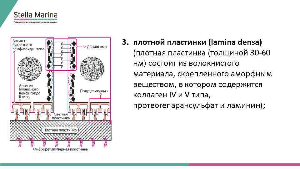 Функция плотной пластинки