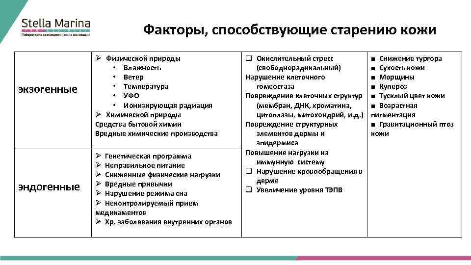 Факторы, способствующие старению кожи экзогенные эндогенные Ø Физической природы • Влажность • Ветер •