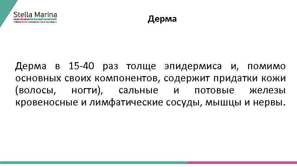Дерма в 15 -40 раз толще эпидермиса и, помимо основных своих компонентов, содержит придатки