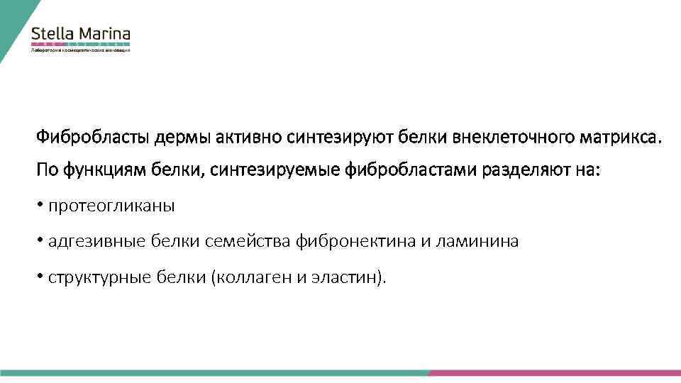Фибробласты дермы активно синтезируют белки внеклеточного матрикса. По функциям белки, синтезируемые фибробластами разделяют на: