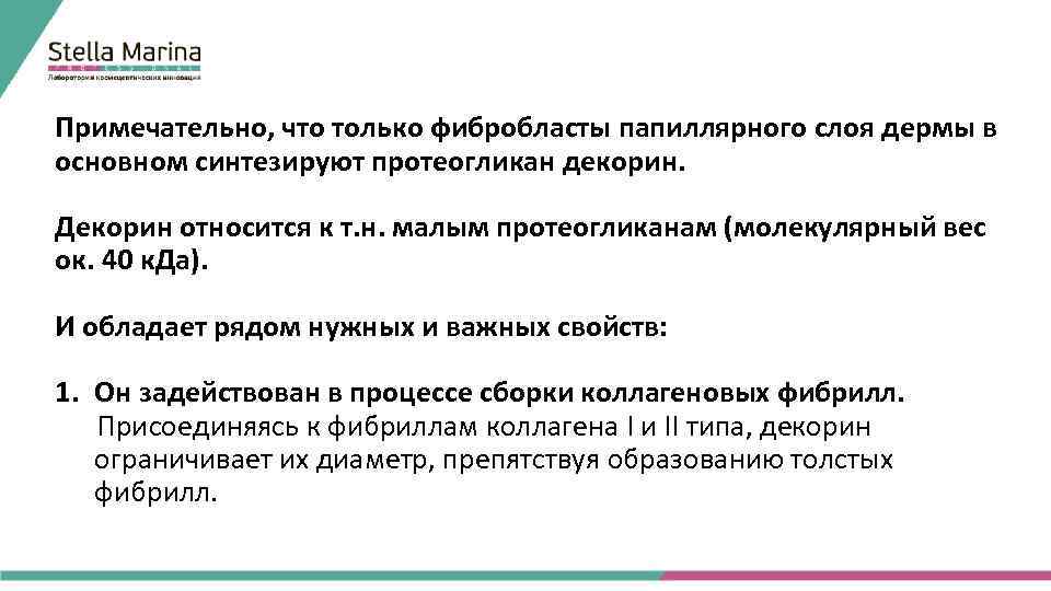 Примечательно, что только фибробласты папиллярного слоя дермы в основном синтезируют протеогликан декорин. Декорин относится