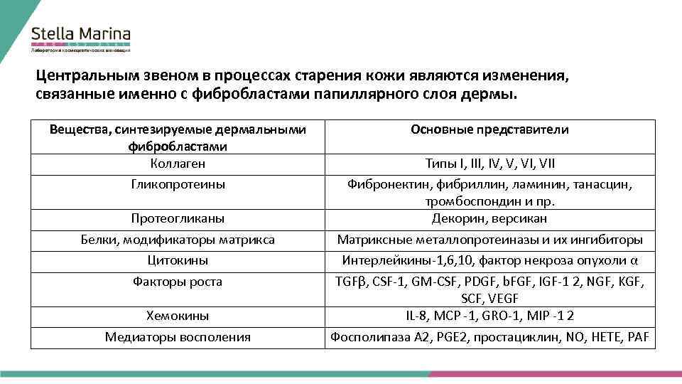 Центральным звеном в процессах старения кожи являются изменения, связанные именно с фибробластами папиллярного слоя